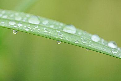 生存恐怖游戏《受折磨的灵魂》开头20分钟实机演示